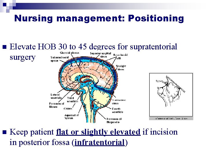Nursing management: Positioning n Elevate HOB 30 to 45 degrees for supratentorial surgery n Nursing management: Positioning n Elevate HOB 30 to 45 degrees for supratentorial surgery n