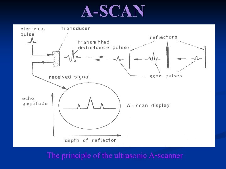 A-SCAN The principle of the ultrasonic A-scanner 