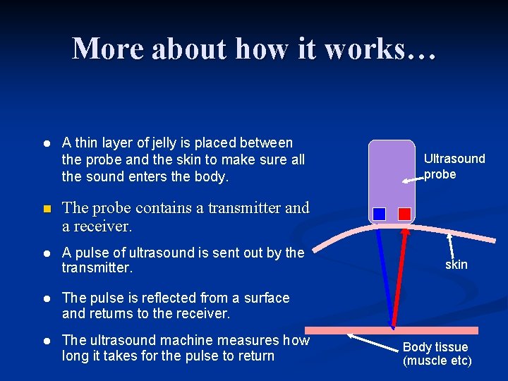 More about how it works… l A thin layer of jelly is placed between