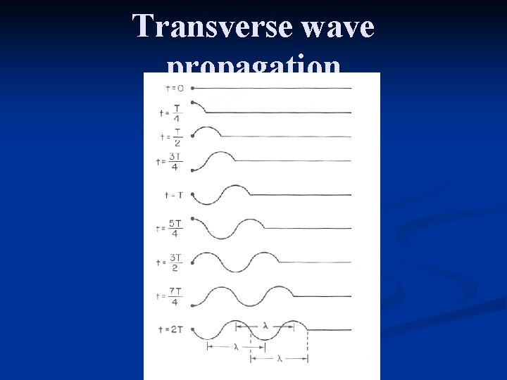 Transverse wave propagation 