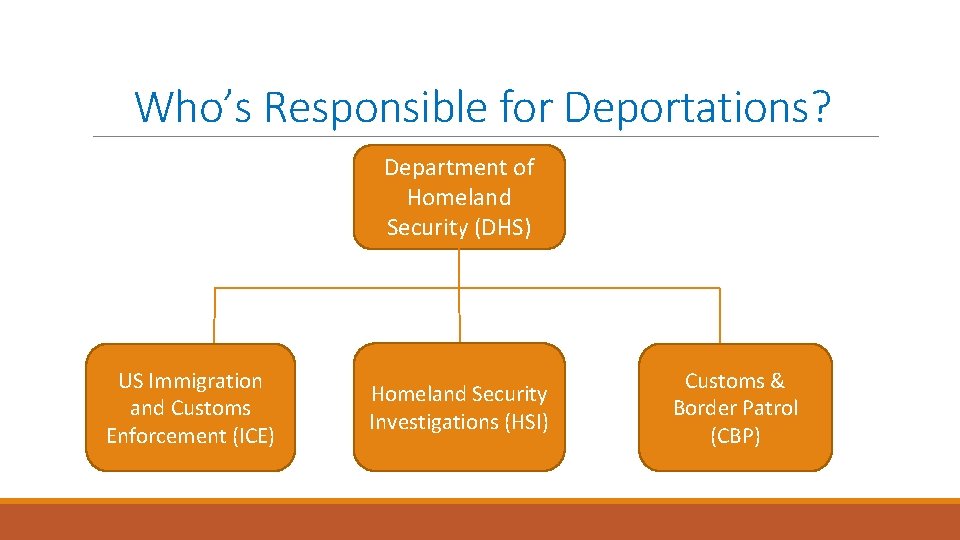 Who’s Responsible for Deportations? Department of Homeland Security (DHS) US Immigration and Customs Enforcement