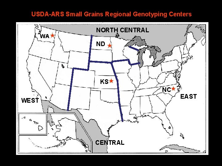 USDA-ARS Small Grains Regional Genotyping Centers WA NORTH CENTRAL ND KS NC WEST CENTRAL