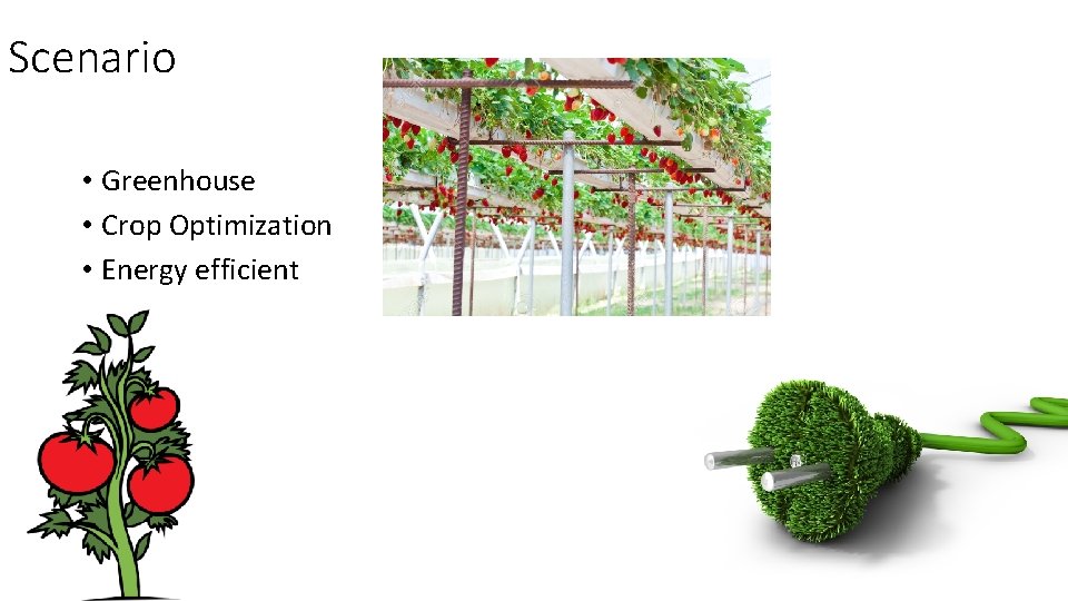 Scenario • Greenhouse • Crop Optimization • Energy efficient 