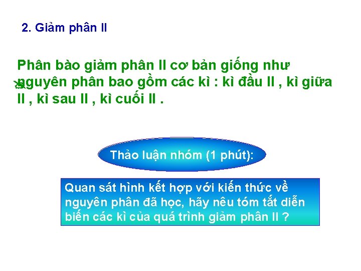 2. Giảm phân II Phân bào giảm phân II cơ bản giống như nguyên