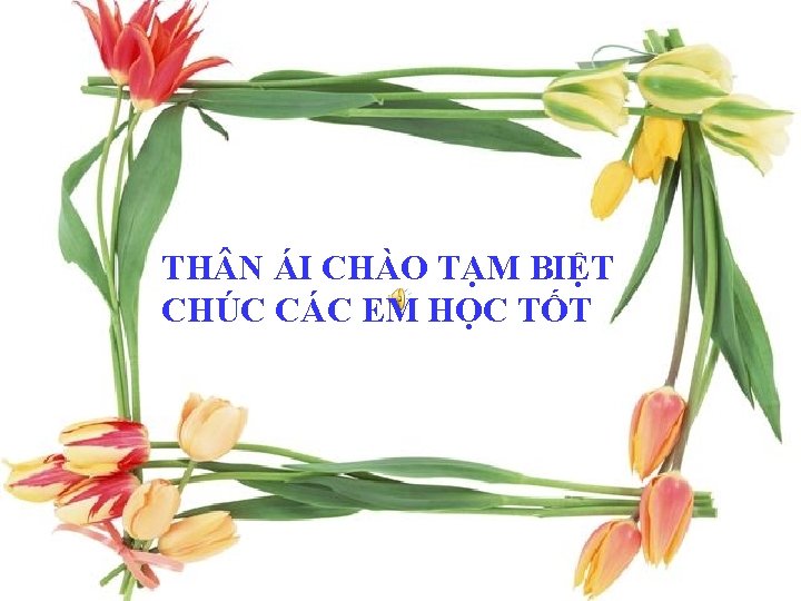 TH N ÁI CHÀO TẠM BIỆT CHÚC CÁC EM HỌC TỐT 