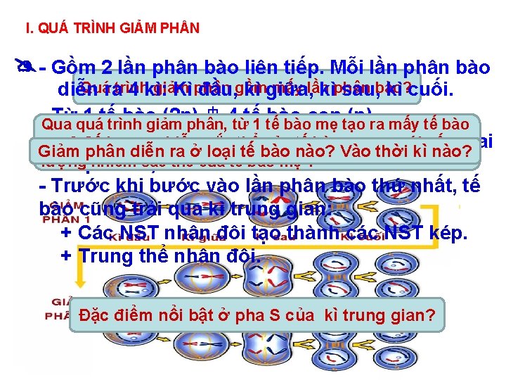 I. QUÁ TRÌNH GIẢM PH N - Gồm 2 lần phân bào liên tiếp.