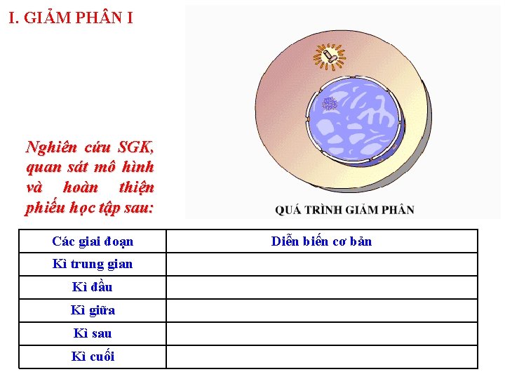 I. GIẢM PH N I Nghiên cứu SGK, quan sát mô hình và hoàn