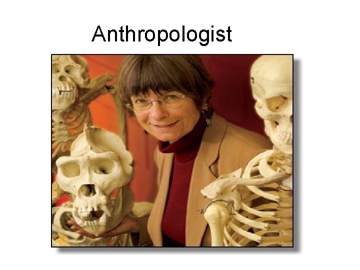 Anthropologist 