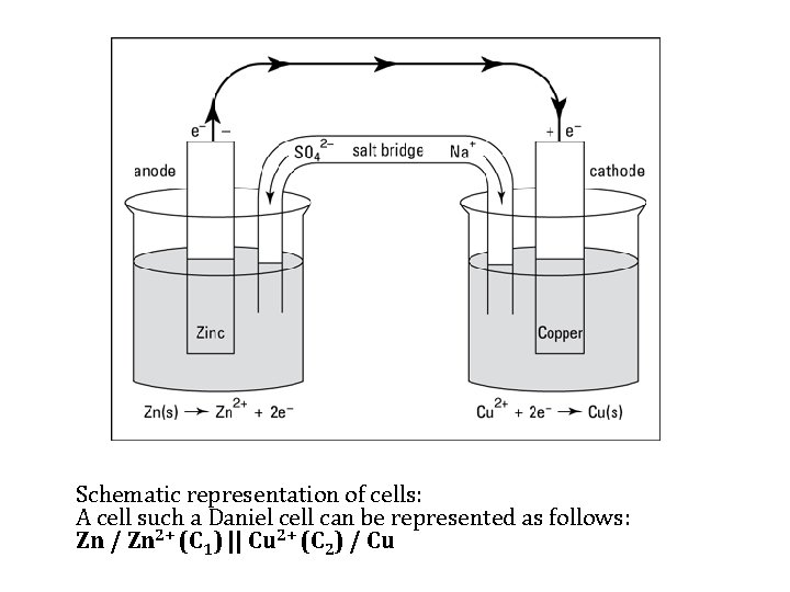 Schematic representation of cells: A cell such a Daniel cell can be represented as