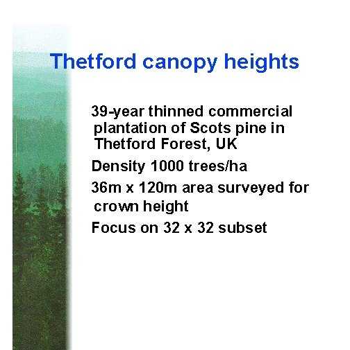 Thetford canopy heights 39 -year thinned commercial plantation of Scots pine in Thetford Forest,