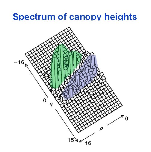 Spectrum of canopy heights 