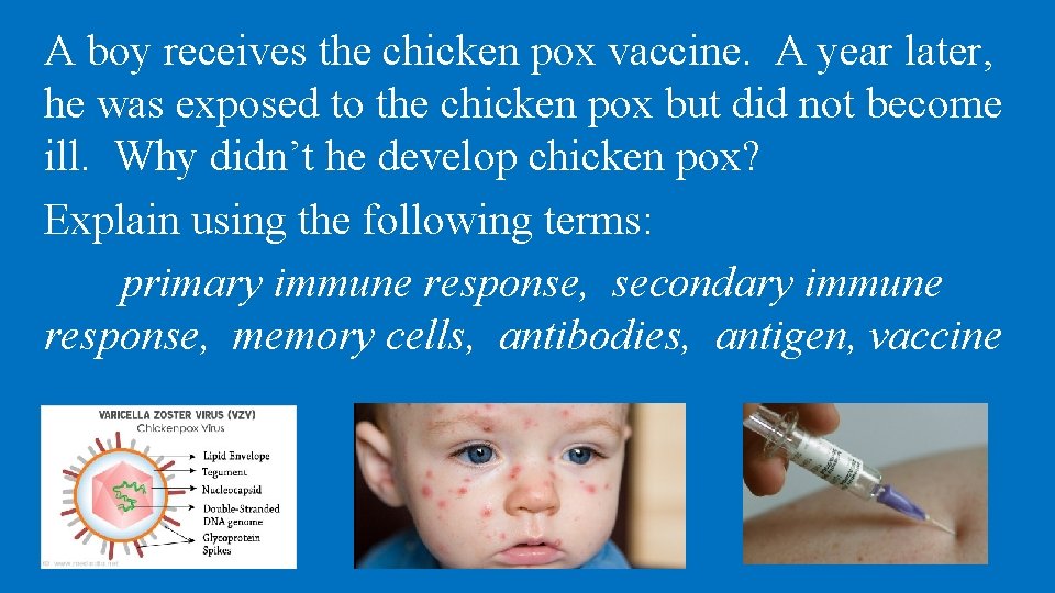 A boy receives the chicken pox vaccine. A year later, he was exposed to