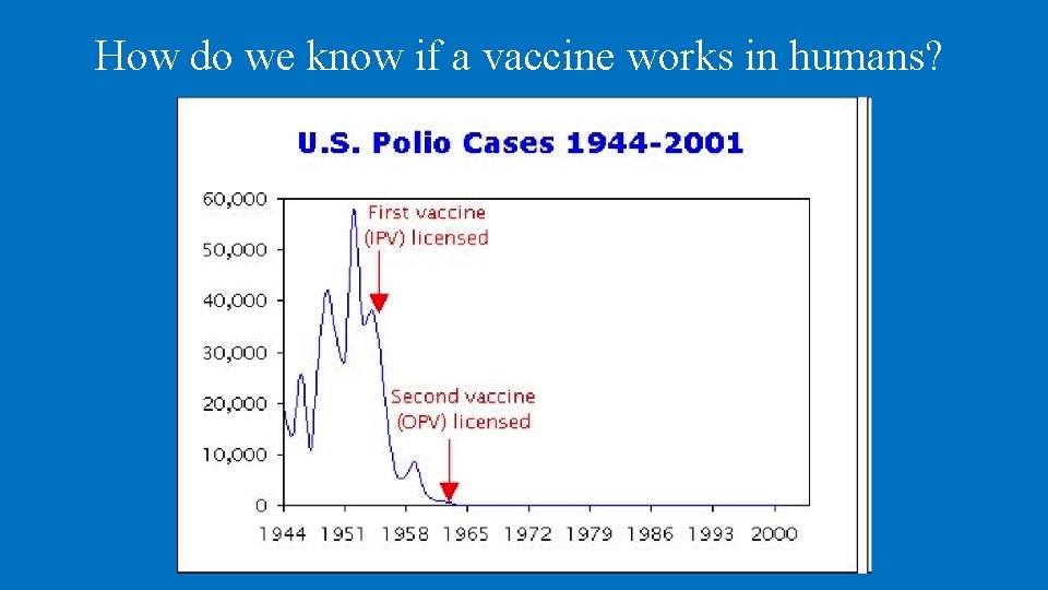 How do we know if a vaccine works in humans? 