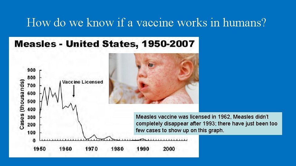 How do we know if a vaccine works in humans? Measles vaccine was licensed