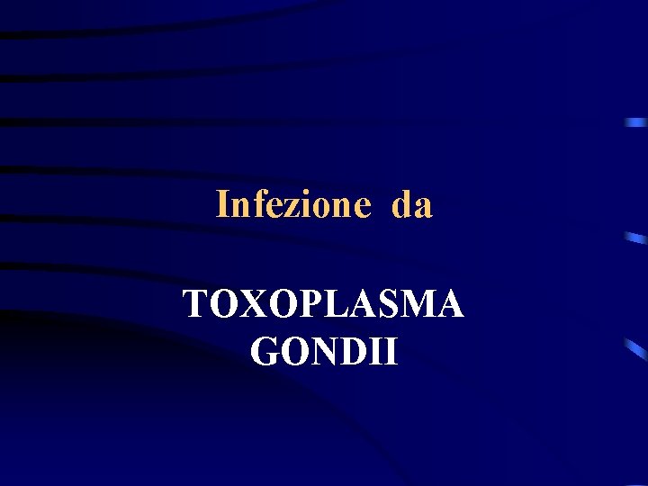 Infezione da TOXOPLASMA GONDII 