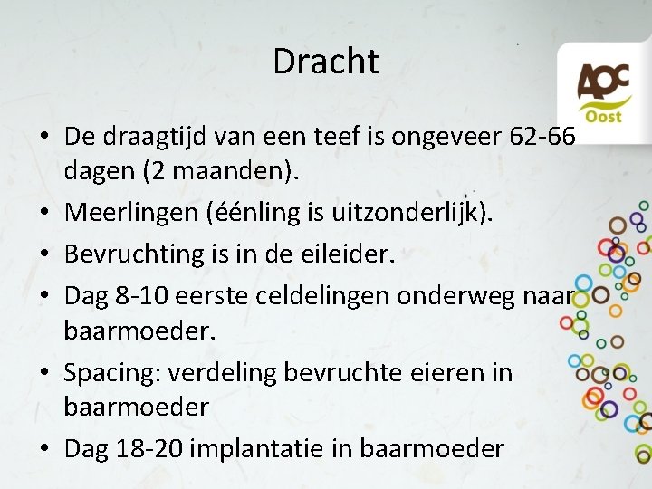 Dracht • De draagtijd van een teef is ongeveer 62 -66 dagen (2 maanden).