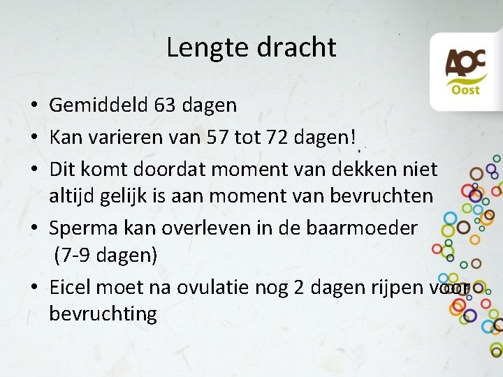 Lengte dracht • Gemiddeld 63 dagen • Kan varieren van 57 tot 72 dagen!