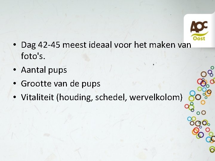  • Dag 42 -45 meest ideaal voor het maken van foto's. • Aantal