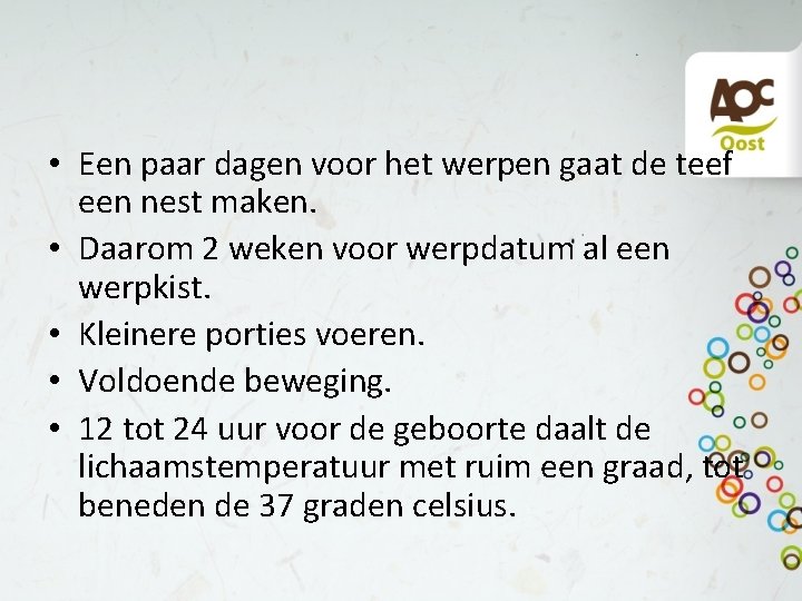  • Een paar dagen voor het werpen gaat de teef een nest maken.