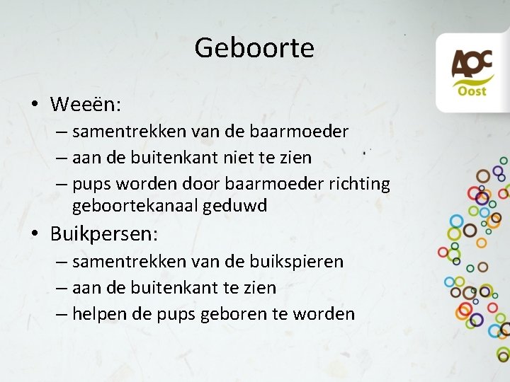 Geboorte • Weeën: – samentrekken van de baarmoeder – aan de buitenkant niet te