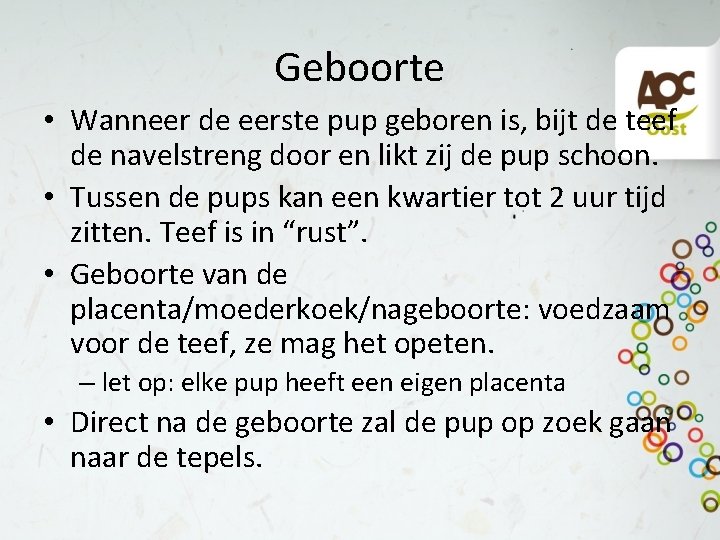 Geboorte • Wanneer de eerste pup geboren is, bijt de teef de navelstreng door