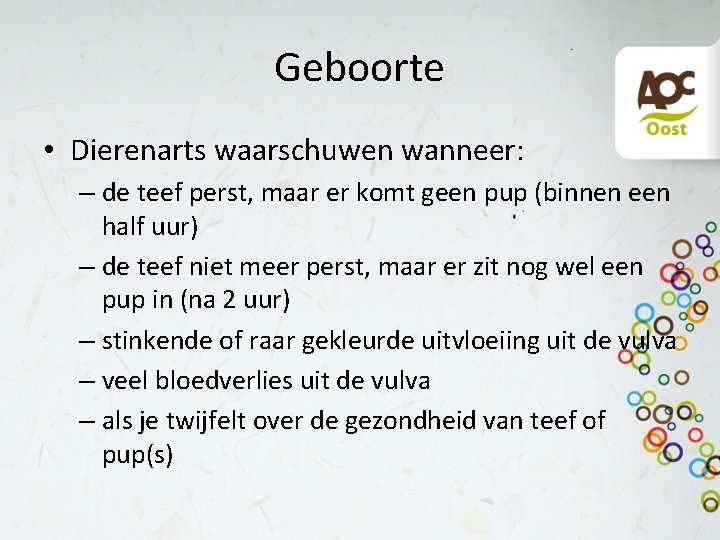 Geboorte • Dierenarts waarschuwen wanneer: – de teef perst, maar er komt geen pup