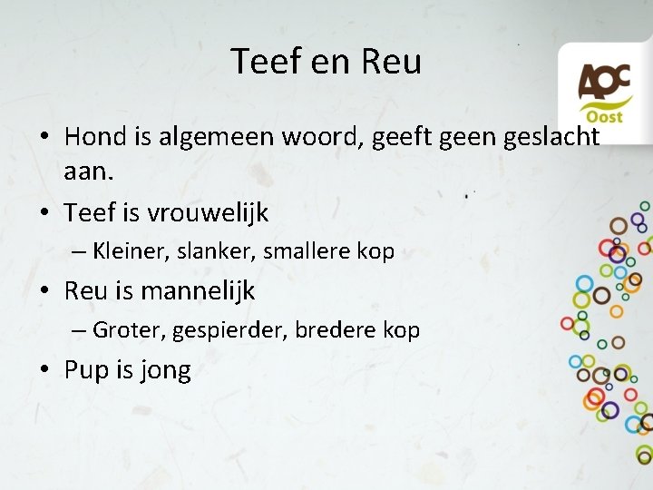 Teef en Reu • Hond is algemeen woord, geeft geen geslacht aan. • Teef