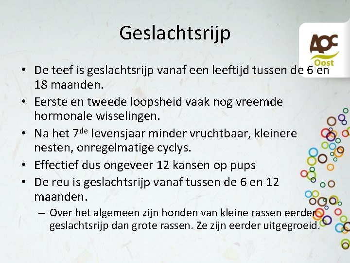 Geslachtsrijp • De teef is geslachtsrijp vanaf een leeftijd tussen de 6 en 18