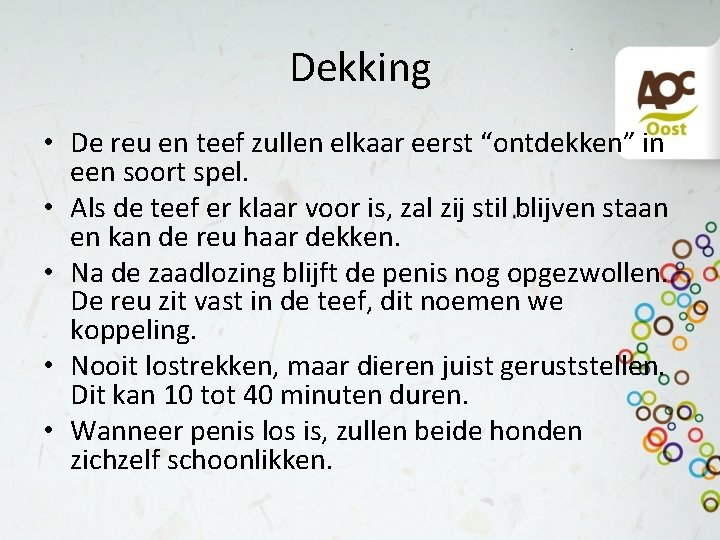 Dekking • De reu en teef zullen elkaar eerst “ontdekken” in een soort spel.