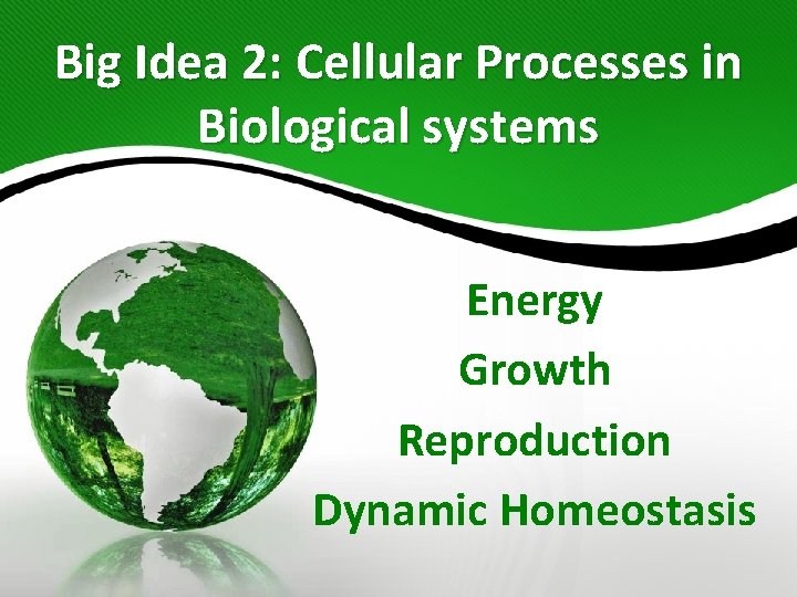 Big Idea 2: Cellular Processes in Biological systems Energy Growth Reproduction Dynamic Homeostasis 