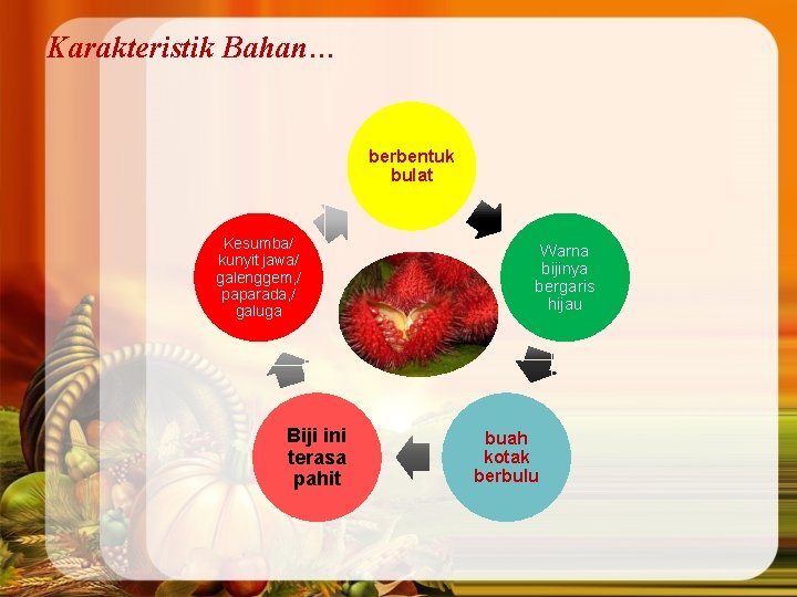 Karakteristik Bahan… berbentuk bulat Kesumba/ kunyit jawa/ galenggem, / paparada, / galuga Biji ini