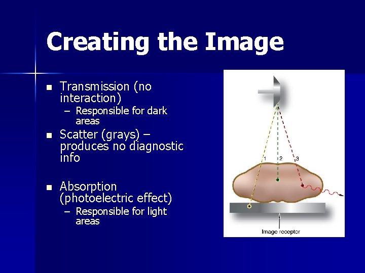 Creating the Image n Transmission (no interaction) – Responsible for dark areas n Scatter