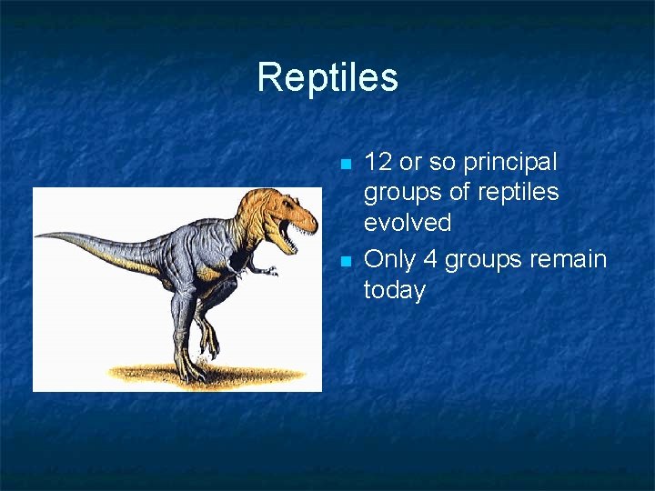 Reptiles n n 12 or so principal groups of reptiles evolved Only 4 groups Reptiles n n 12 or so principal groups of reptiles evolved Only 4 groups