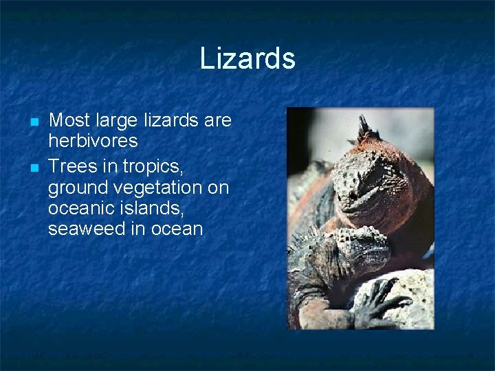 Lizards n n Most large lizards are herbivores Trees in tropics, ground vegetation on