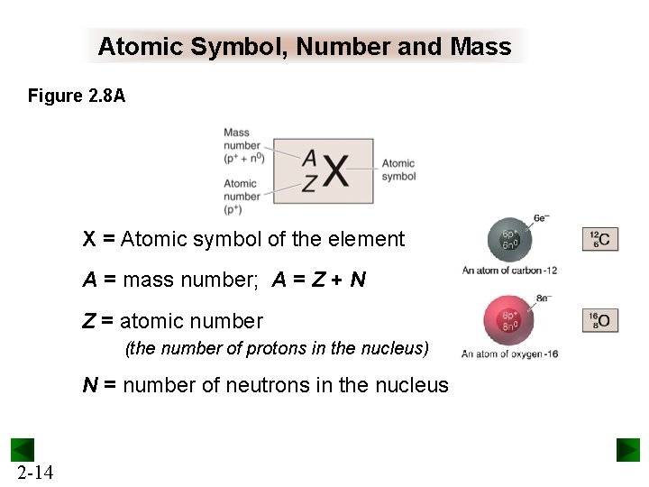 Atomic Symbol, Number and Mass Figure 2. 8 A X = Atomic symbol of