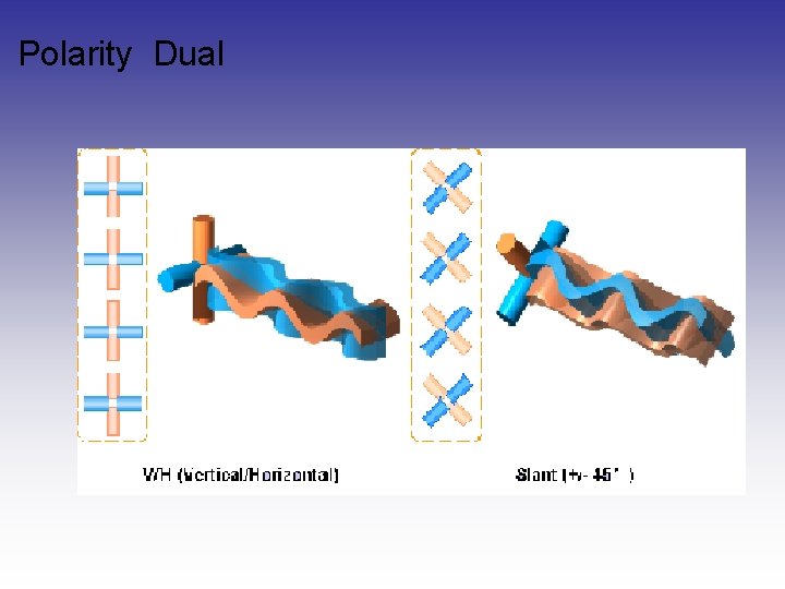 Polarity Dual Polarity Dual