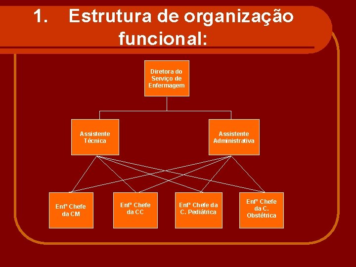 1. Estrutura de organização funcional: Diretora do Serviço de Enfermagem Assistente Técnica Enfª Chefe