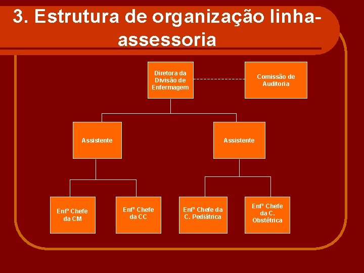 3. Estrutura de organização linhaassessoria Diretora da Divisão de Enfermagem Assistente Enfª Chefe da