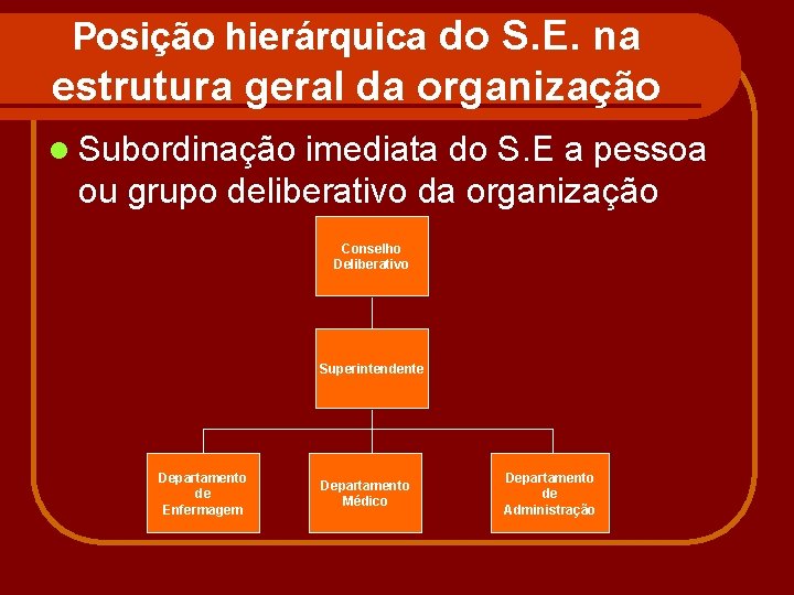 Posição hierárquica do S. E. na estrutura geral da organização l Subordinação imediata do