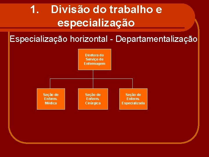 1. Divisão do trabalho e especialização Especialização horizontal - Departamentalização Diretora do Serviço de