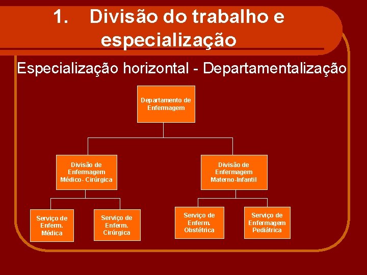 1. Divisão do trabalho e especialização Especialização horizontal - Departamentalização Departamento de Enfermagem Divisão