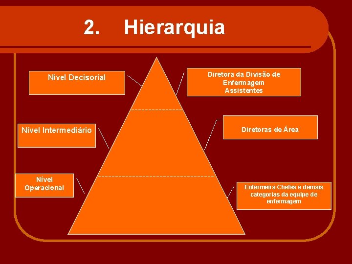 2. Nível Decisorial Nível Intermediário Nível Operacional Hierarquia Diretora da Divisão de Enfermagem Assistentes