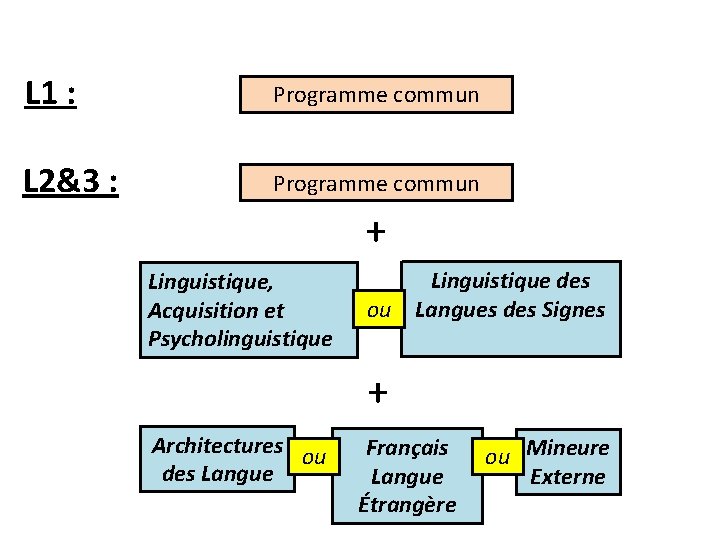 L 1 : Programme commun L 2&3 : Programme commun + Linguistique, Acquisition et