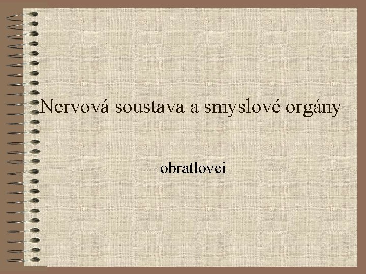 Nervová soustava a smyslové orgány obratlovci 