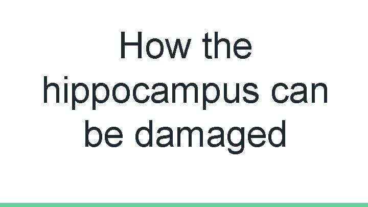 How the hippocampus can be damaged 