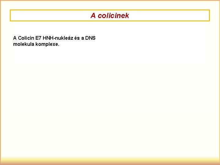 A colicinek A Colicin E 7 HNH-nukleáz és a DNS molekula komplexe. 