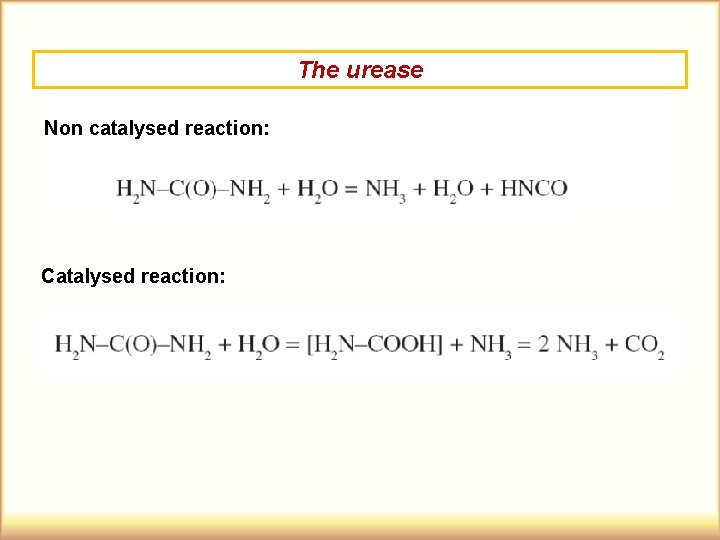 The urease Non catalysed reaction: Catalysed reaction: 