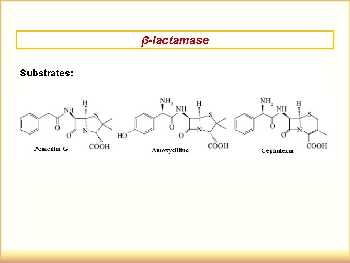 β-lactamase Substrates: 