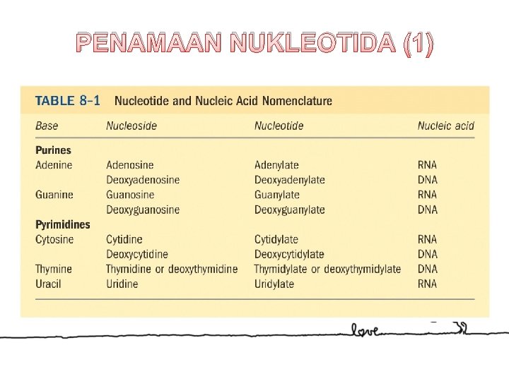 PENAMAAN NUKLEOTIDA (1) 