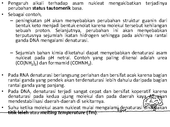  • Pengaruh alkali terhadap asam nukleat mengakibatkan terjadinya perubahan status tautomerik basa. •